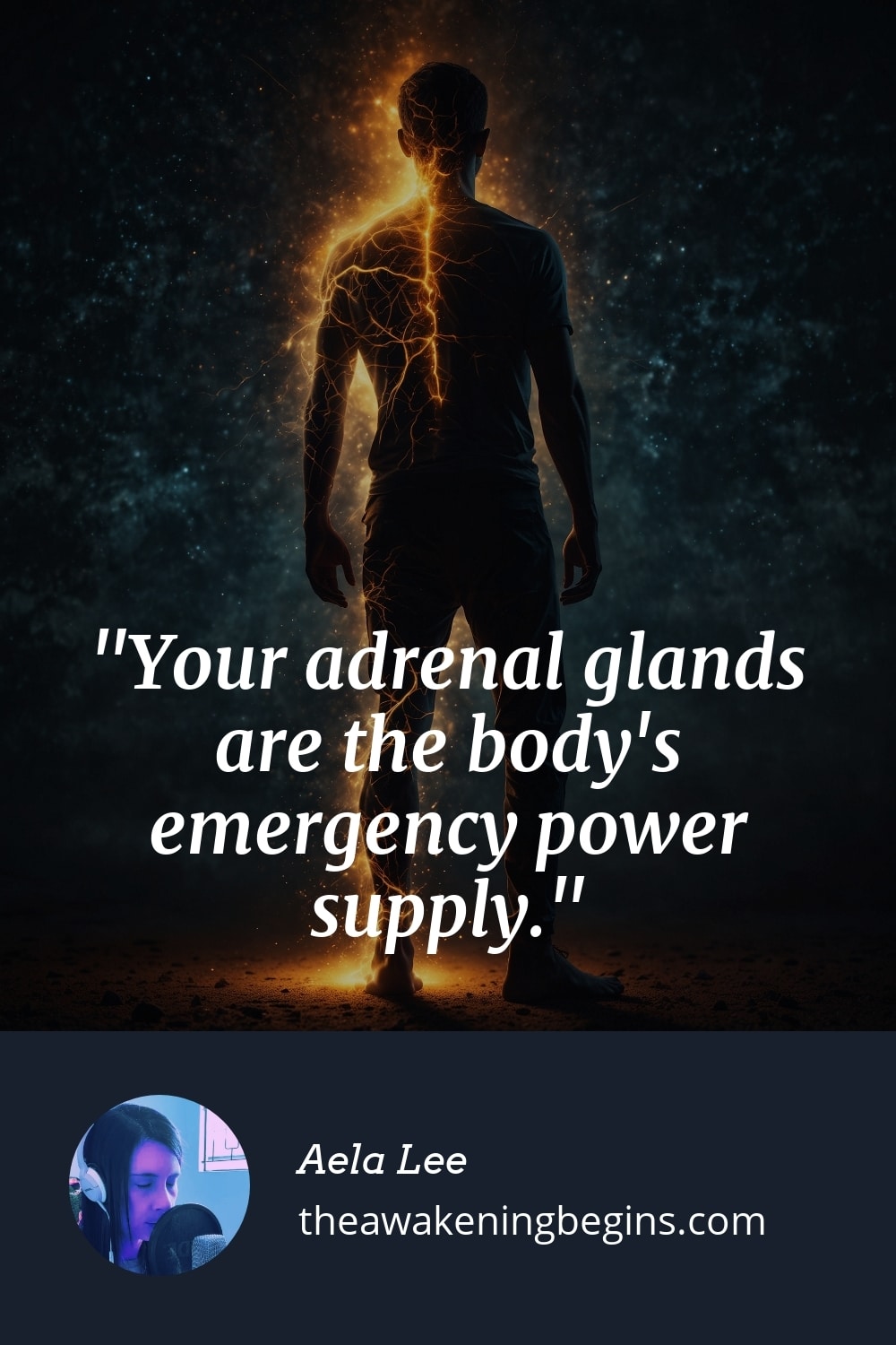 Pinterst Image Your adrenal glands are the body's emergency power supply.