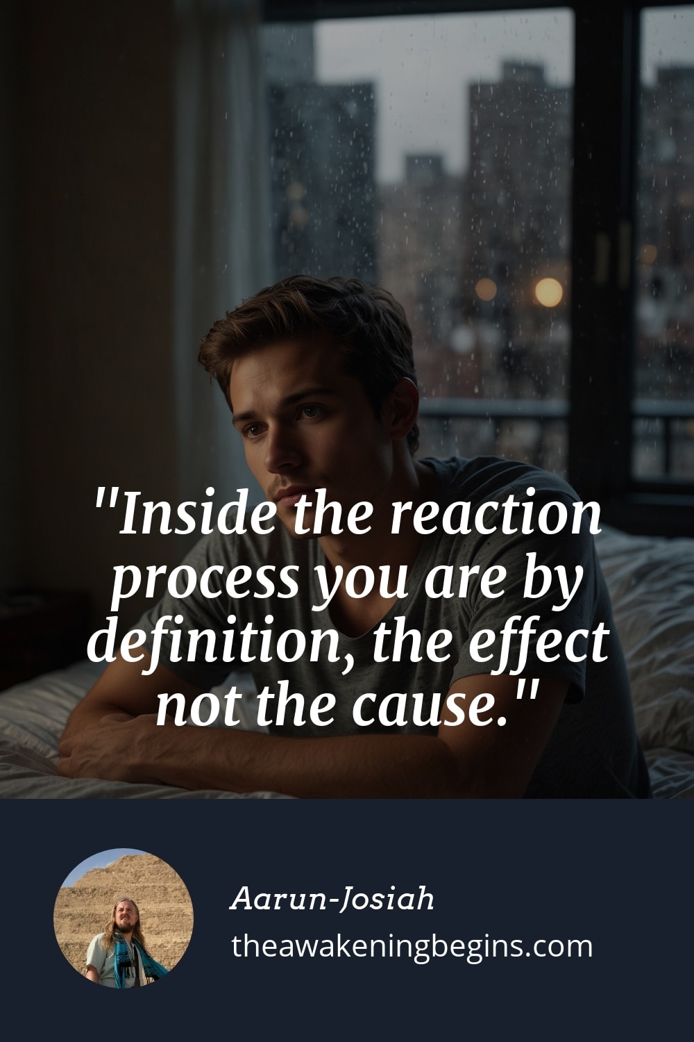Pinterest Image Inside the reaction process you are by definition, the effect not the cause.