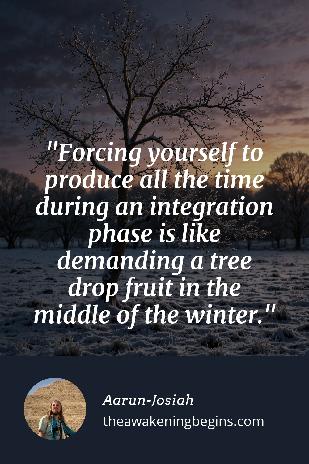 Pinterest Image Forcing yourself to produce all the time during an integration phase is like demanding a tree drop fruit in the middle of the winter.