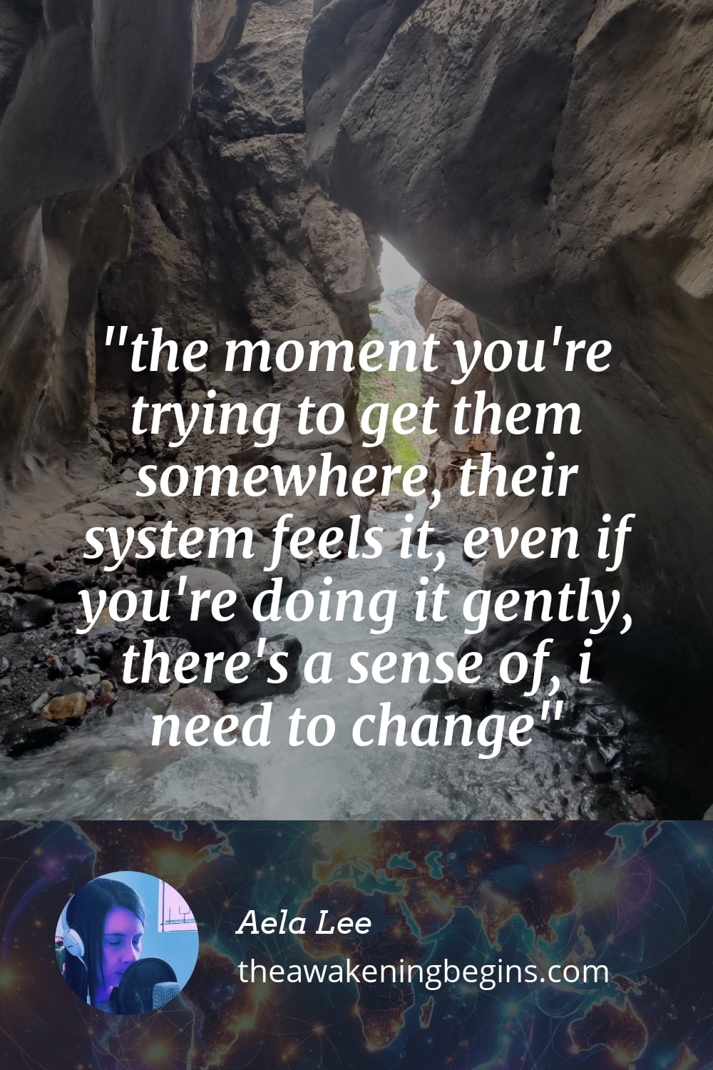 Pinterst Image the moment you're trying to get them somewhere, their system feels it, even if you're doing it gently, there's a sense of, i need to change