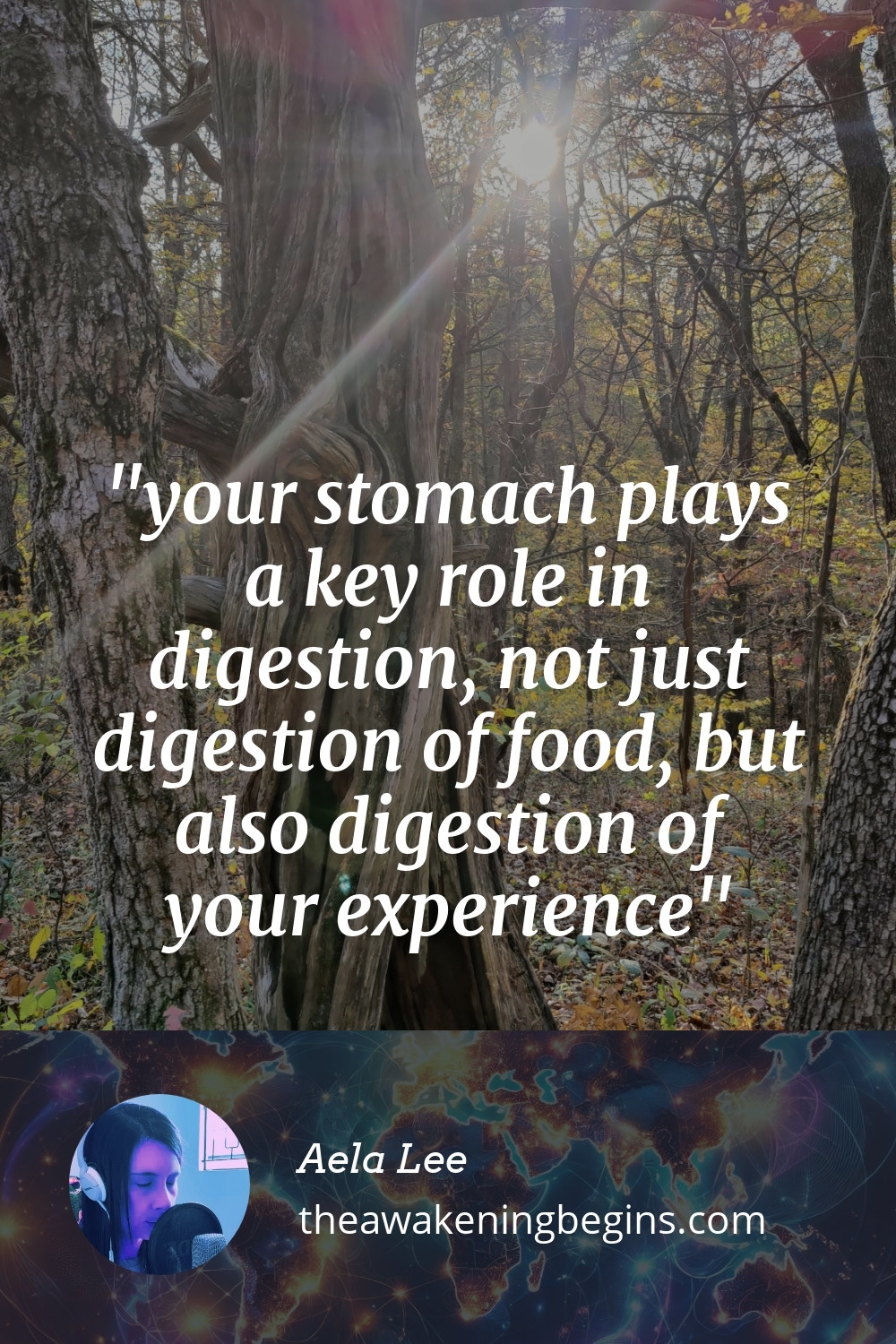 Pinterest Image your stomach plays a key role in digestion, not just digestion of food, but also digestion of your experience