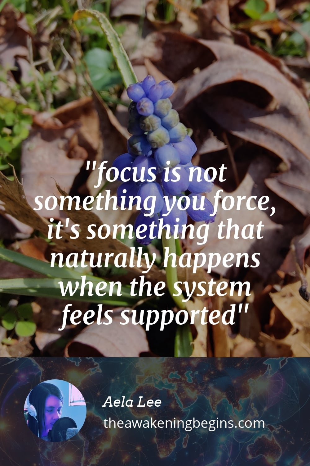 Pinterest Image focus is not something you force, it's something that naturally happens when the system feels supported