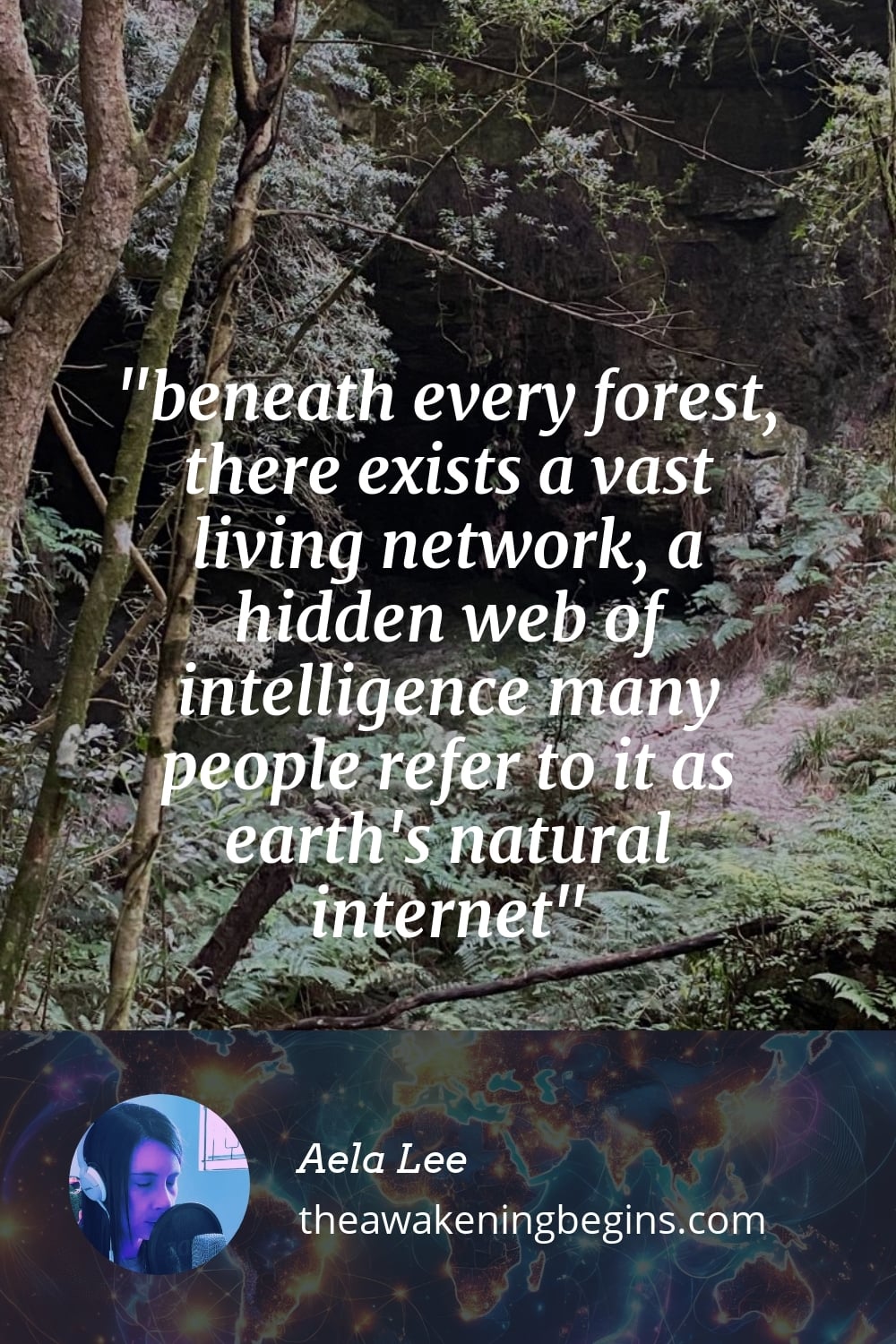 Pinterest Image beneath every forest, there exists a vast living network, a hidden web of intelligence many people refer to it as earth's natural internet