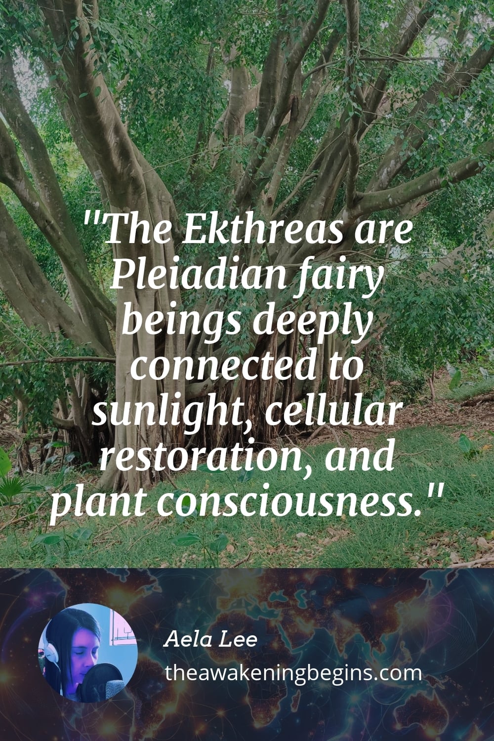 The Ekthreas are Pleiadian fairy beings deeply connected to sunlight, cellular restoration, and plant consciousness.