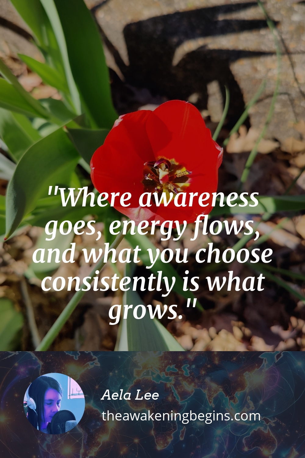 Pinterest Image Where awareness goes, energy flows, and what you choose consistently is what grows.