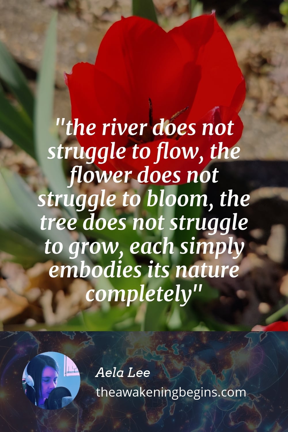 Pinterst Image the river does not struggle to flow, the flower does not struggle to bloom, the tree does not struggle to grow, each simply embodies its nature completely