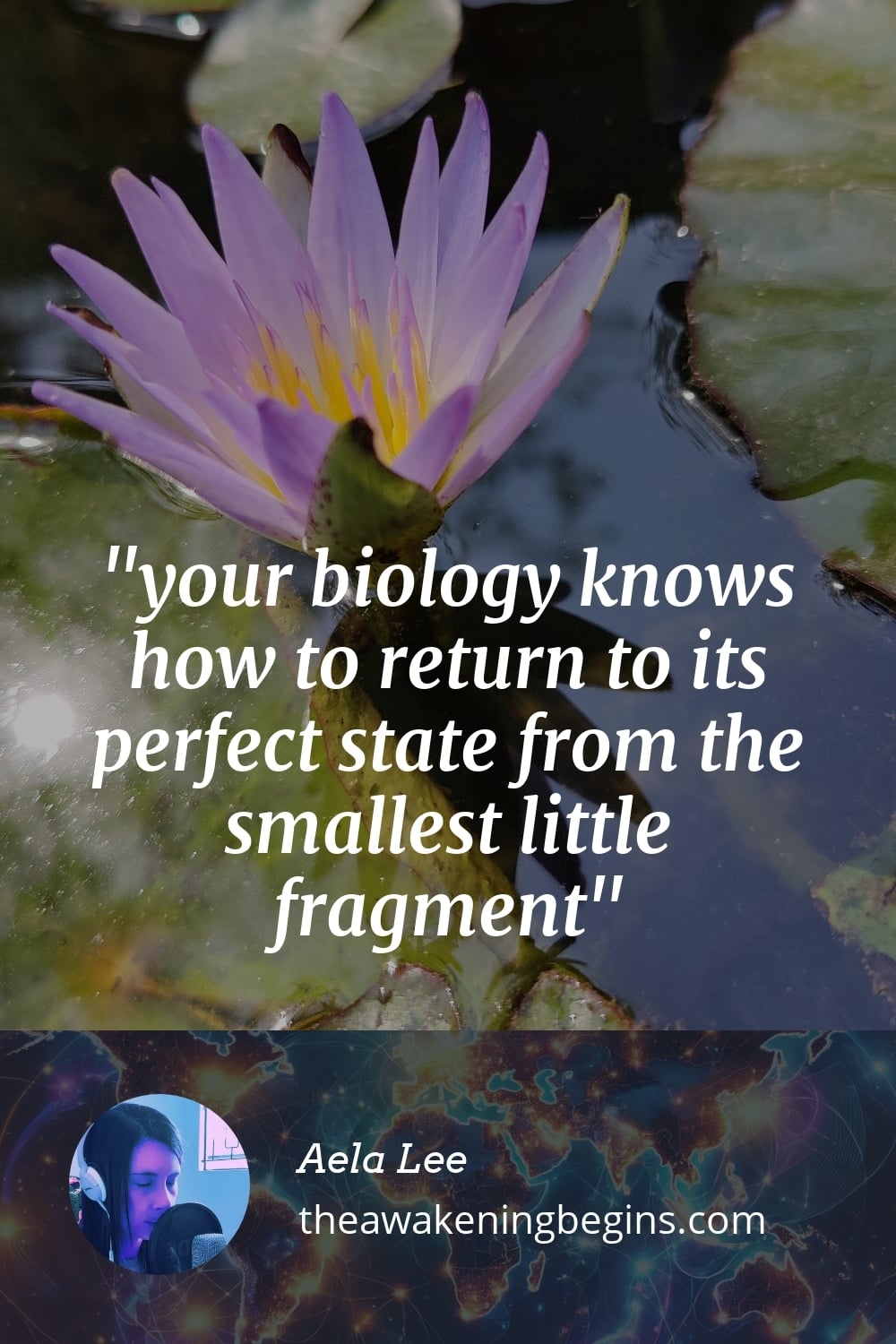 Pinterest Image your biology knows how to return to its perfect state from the smallest little fragment