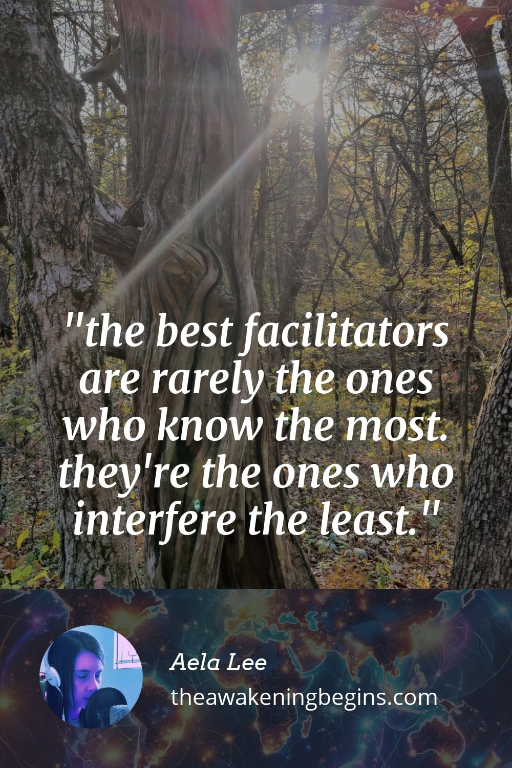 Pinterst Image the best facilitators are rarely the ones who know the most. they're the ones who interfere the least.
