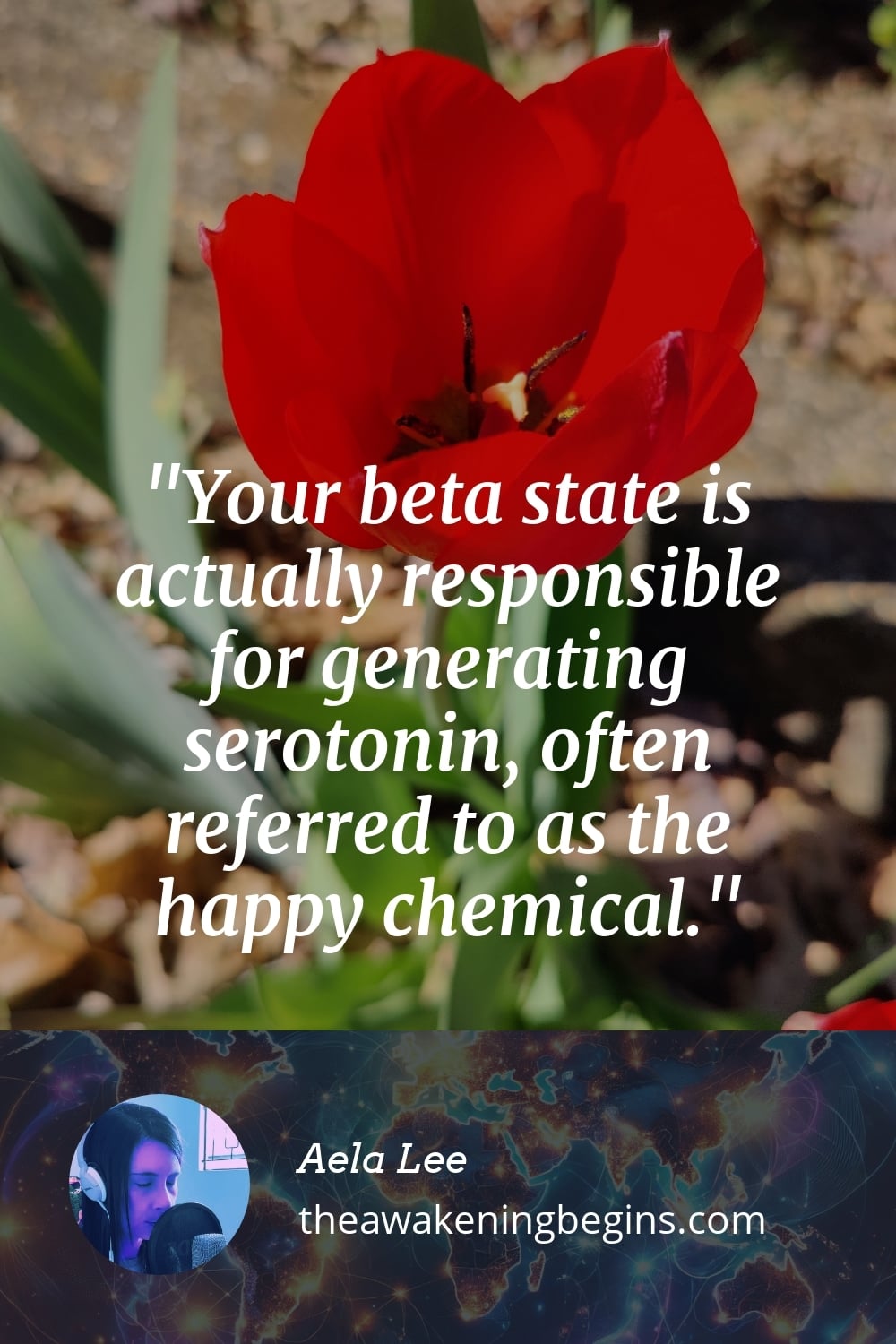 Pinterest Image Your beta state is actually responsible for generating serotonin, often referred to as the happy chemical.